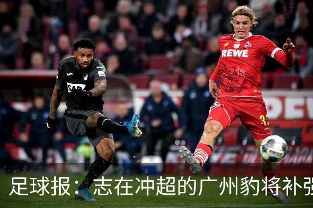 足球报：志在冲超的广州豹将补强锋线，正与目标外援前锋洽谈